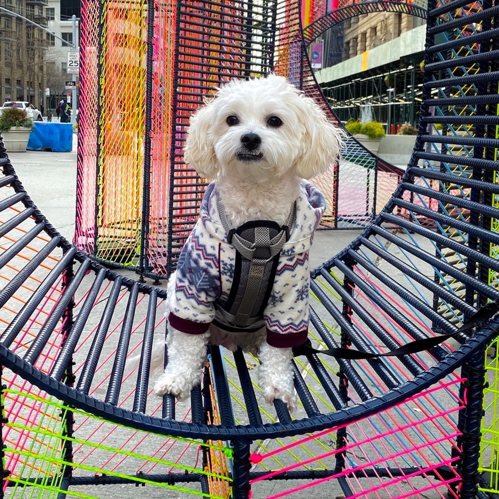 Meet your Posher, Chelmy